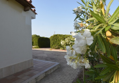 Casa Vacanze Villa Chiara
